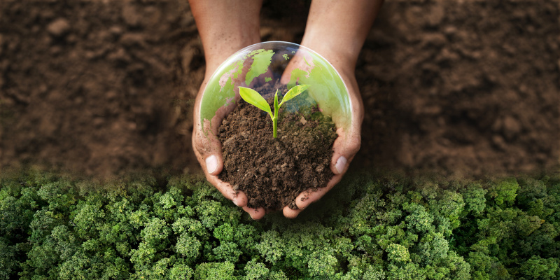 Eco Friendly Waste processing